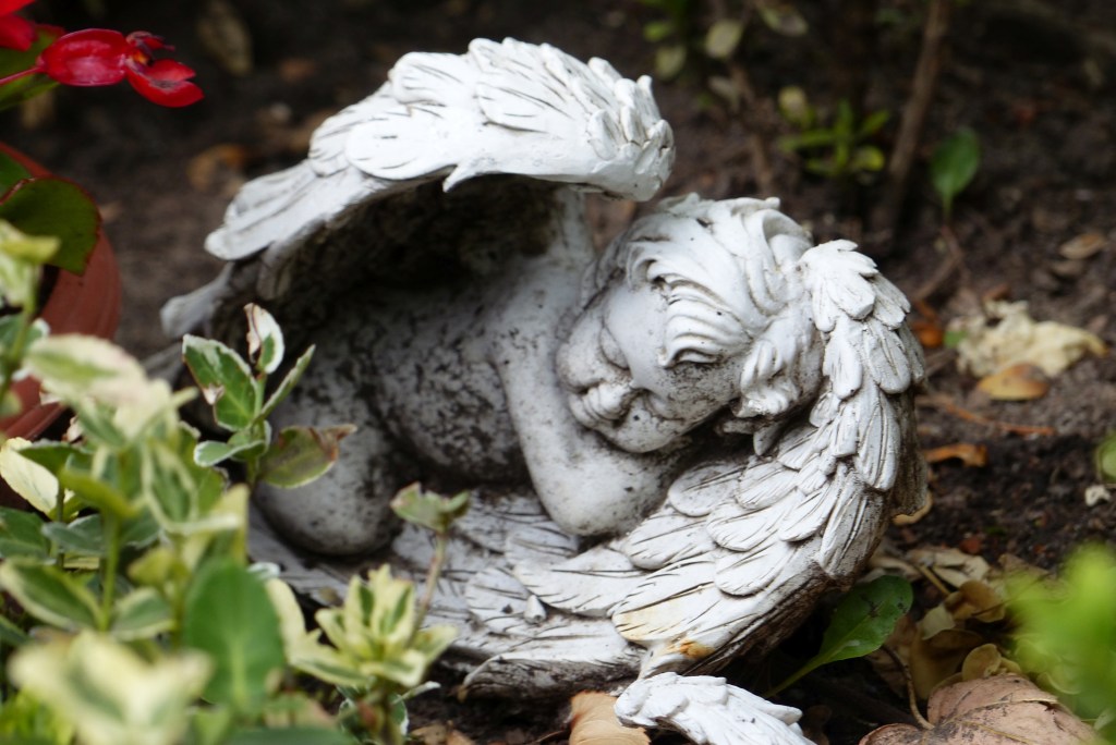 Mit dem Fotoapparat unterwegs: Hallenser&nbsp;Engel