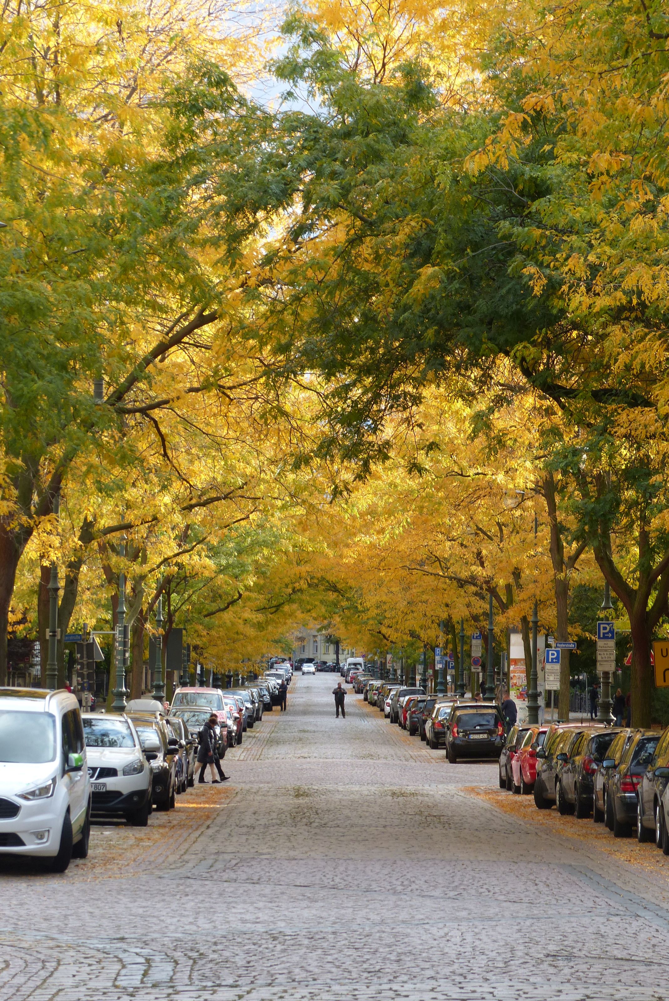 Magdeburg_3.10.19_60