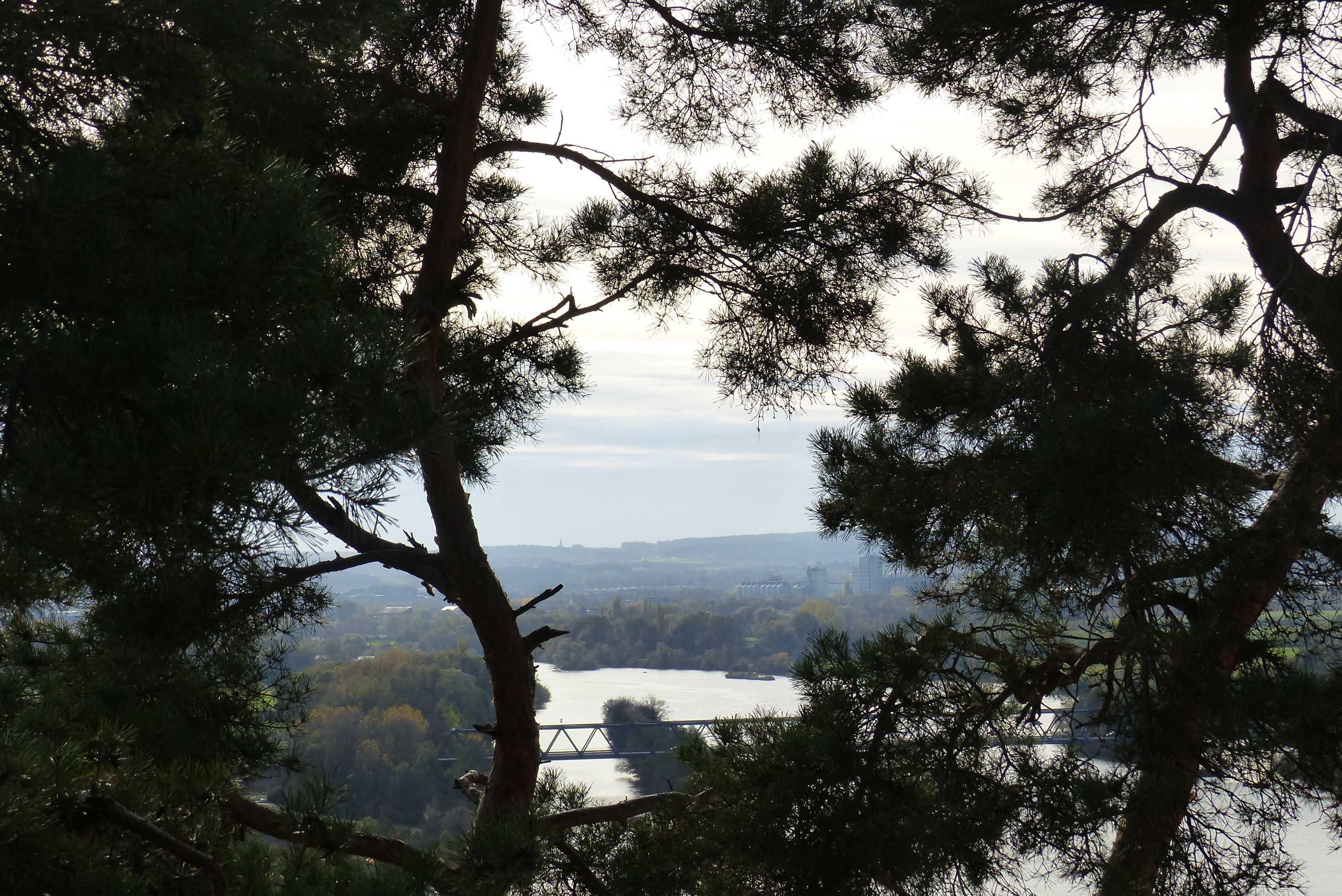 Best of Walhalla + Burgruine Donaufstauf_13