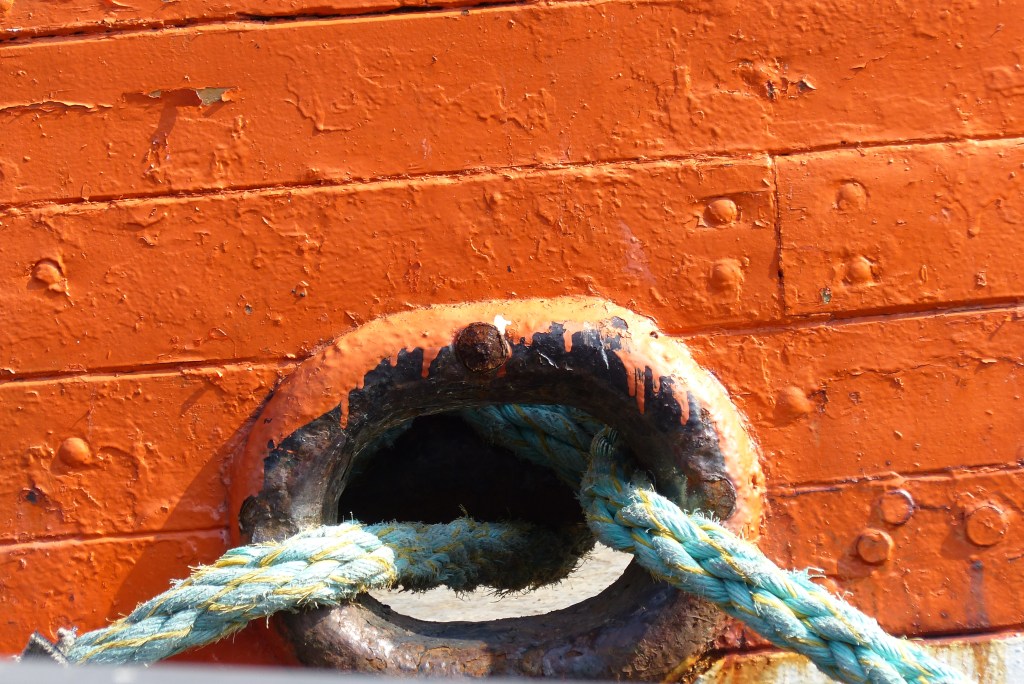 Fotografie: 50 Shades of Bunt&nbsp;#46