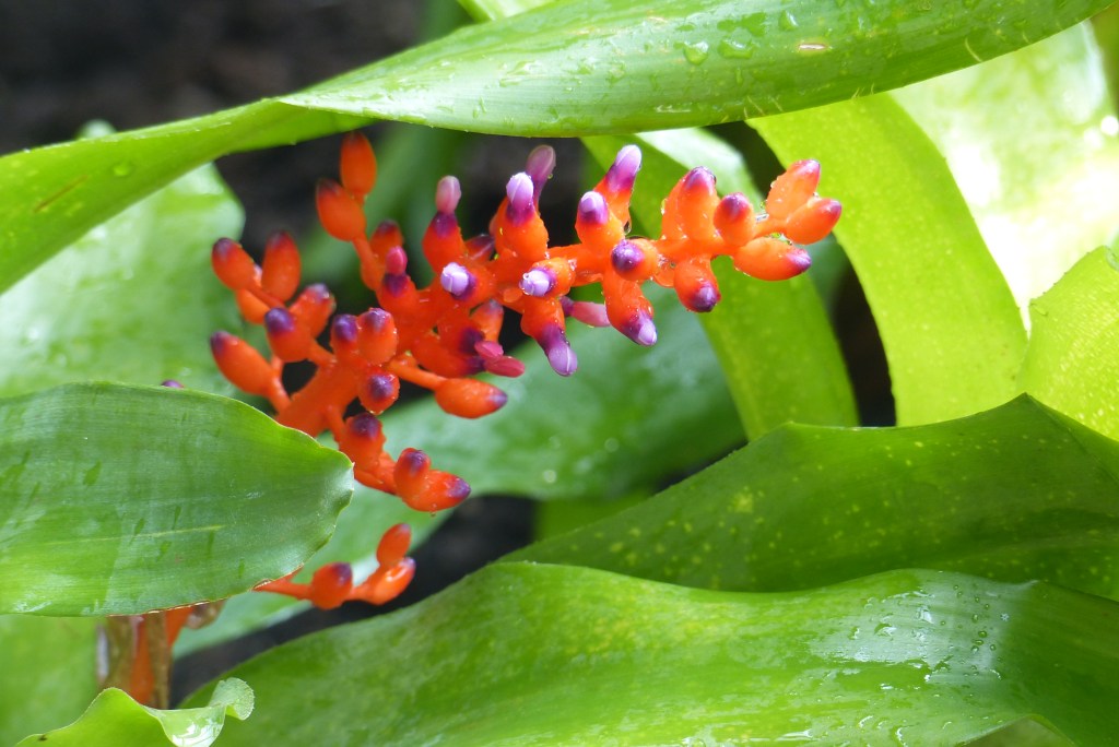 Fotografie: 50 Shades of Bunt&nbsp;#45