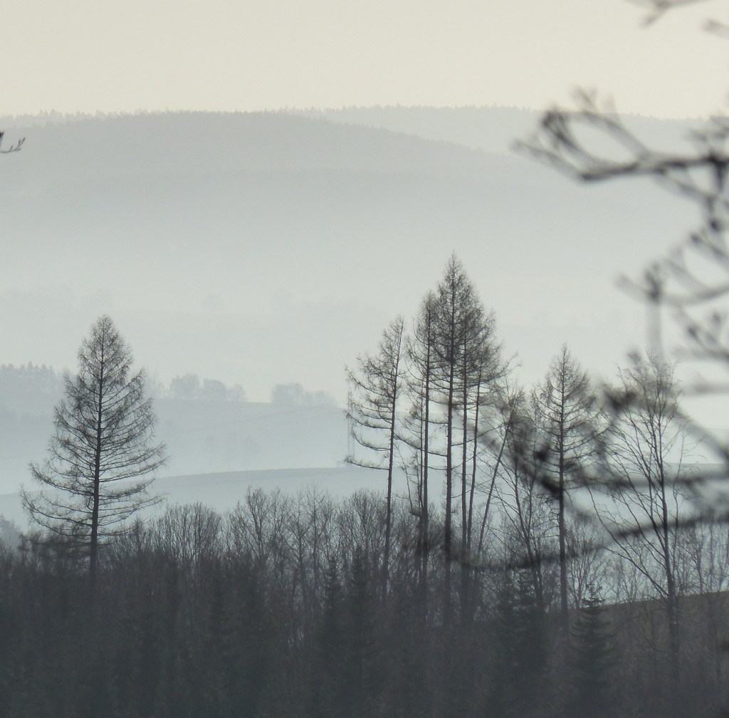 Mit dem Fotoapparat unterwegs: An Neujahr im Thüringer&nbsp;Wald