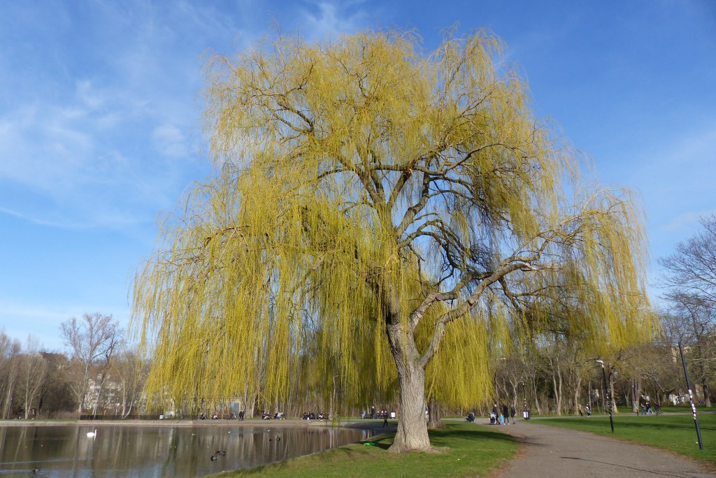 Mit dem Fotoapparat unterwegs: Halle in Zeiten von Corona&nbsp;#1