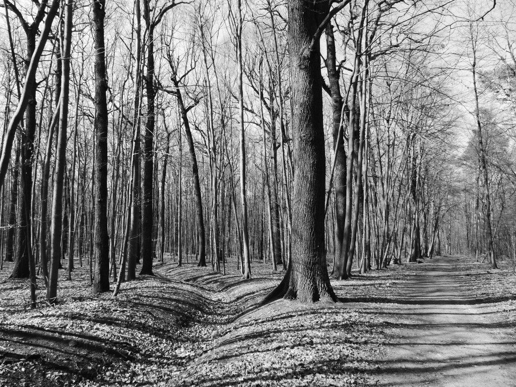 Fotografie: Black & White #34 meets Halle in Zeiten von Corona&nbsp;#5