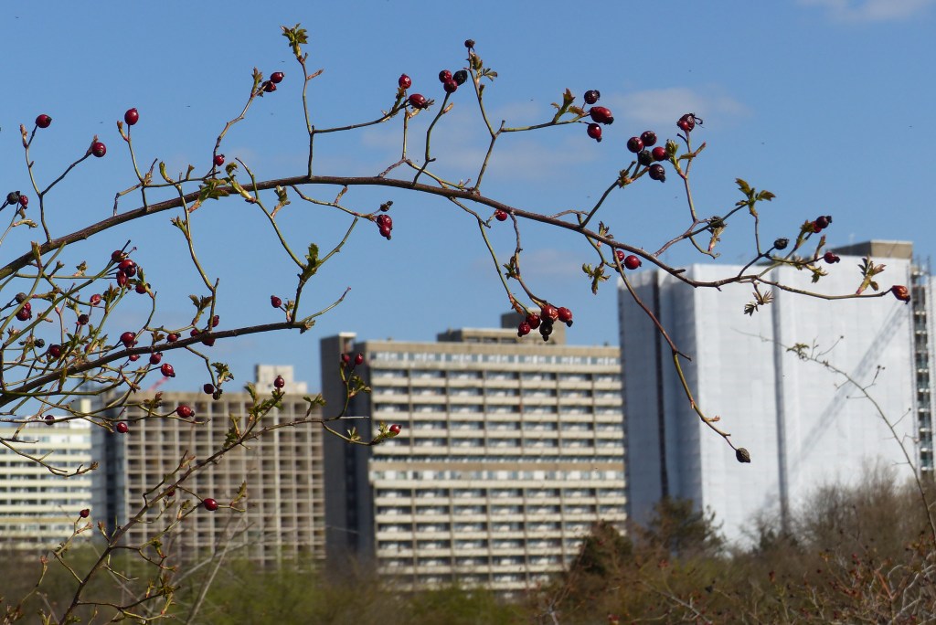 Mit dem Fotoapparat unterwegs: Halle in Zeiten von Corona&nbsp;#6