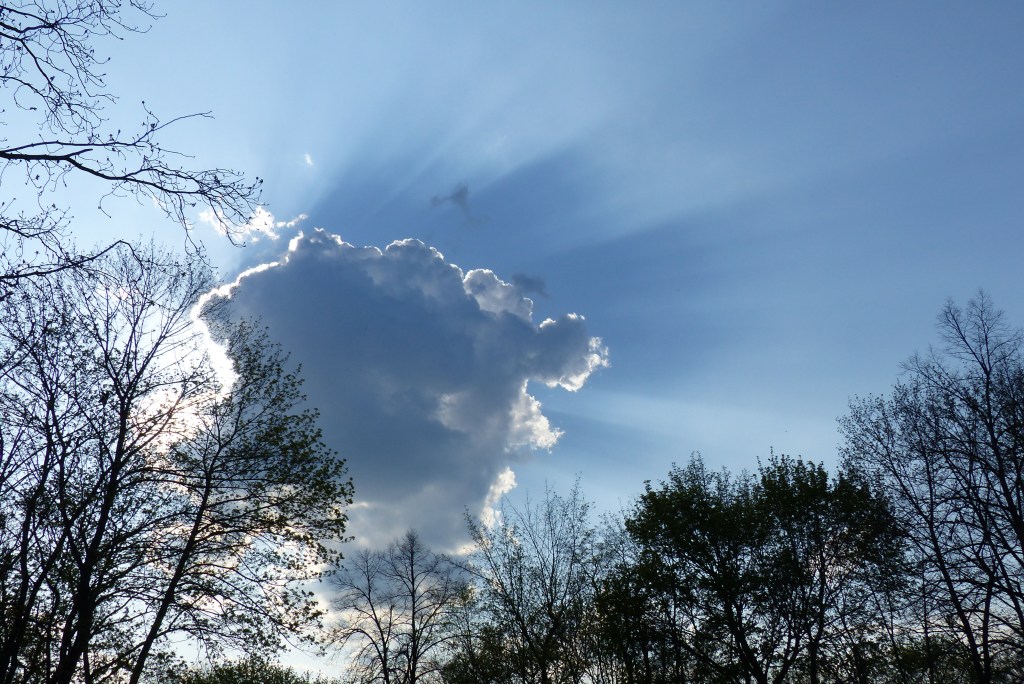 Fotografie: Himmel #17