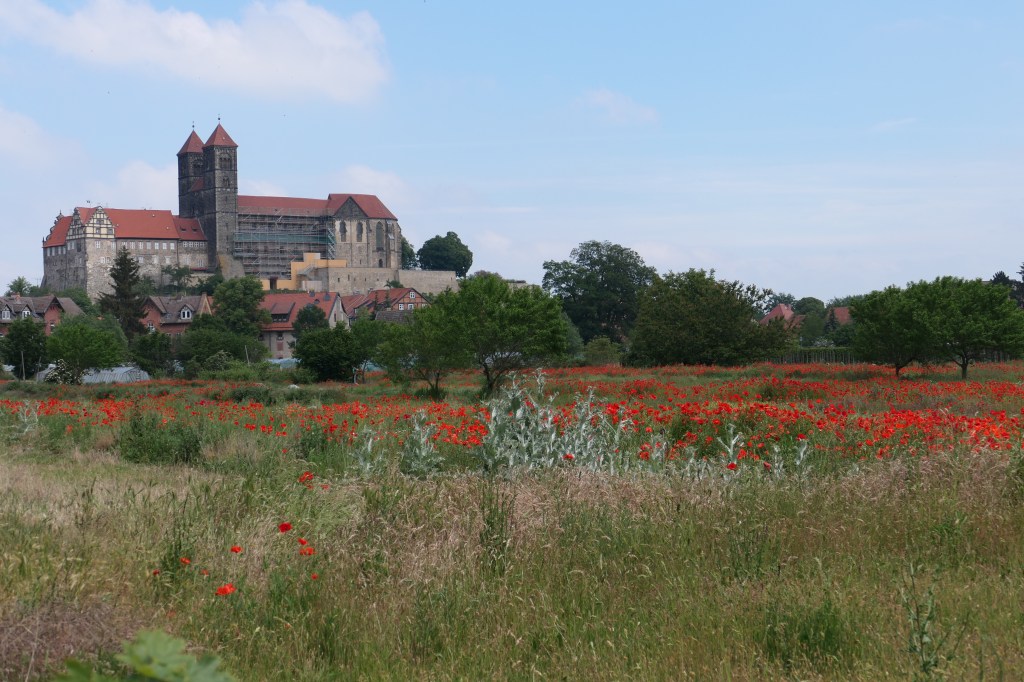 Mit dem Fotoapparat unterwegs: Quedlinburg #1 (Hotel&nbsp;+Schlossberg)