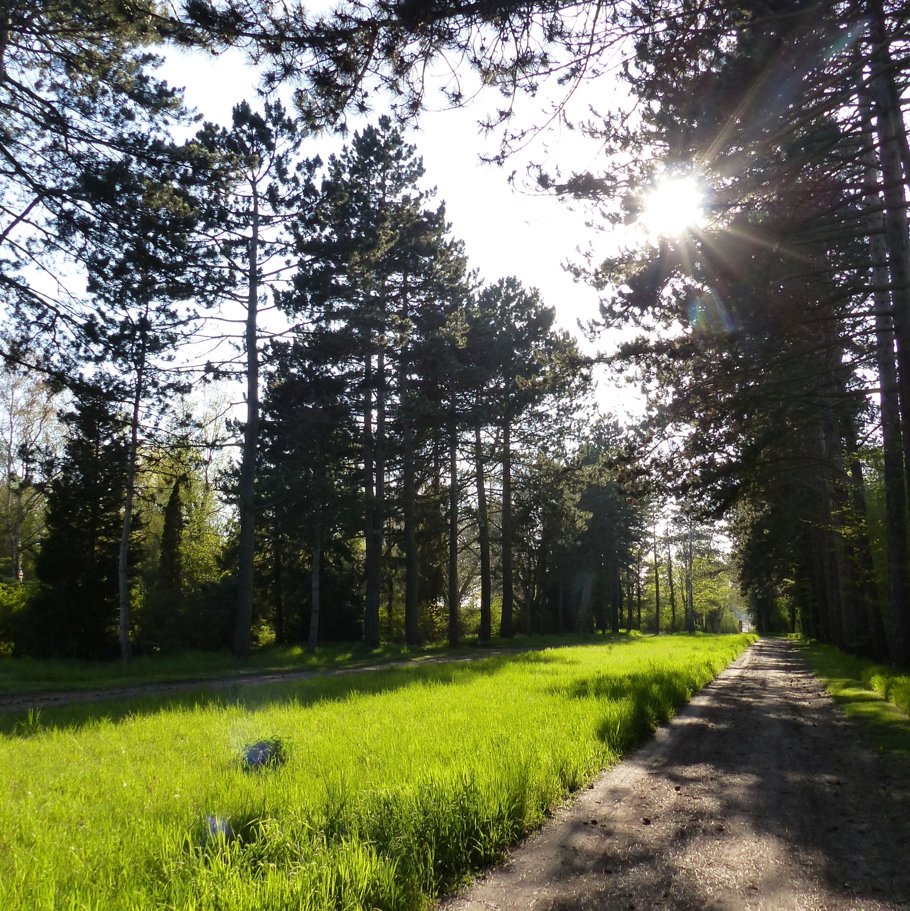Gertraudenfriedhof_20