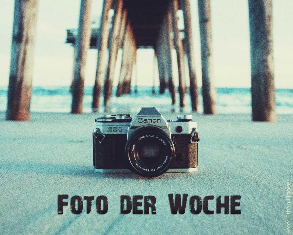 Nachgedacht: Foto der Woche&nbsp;#8