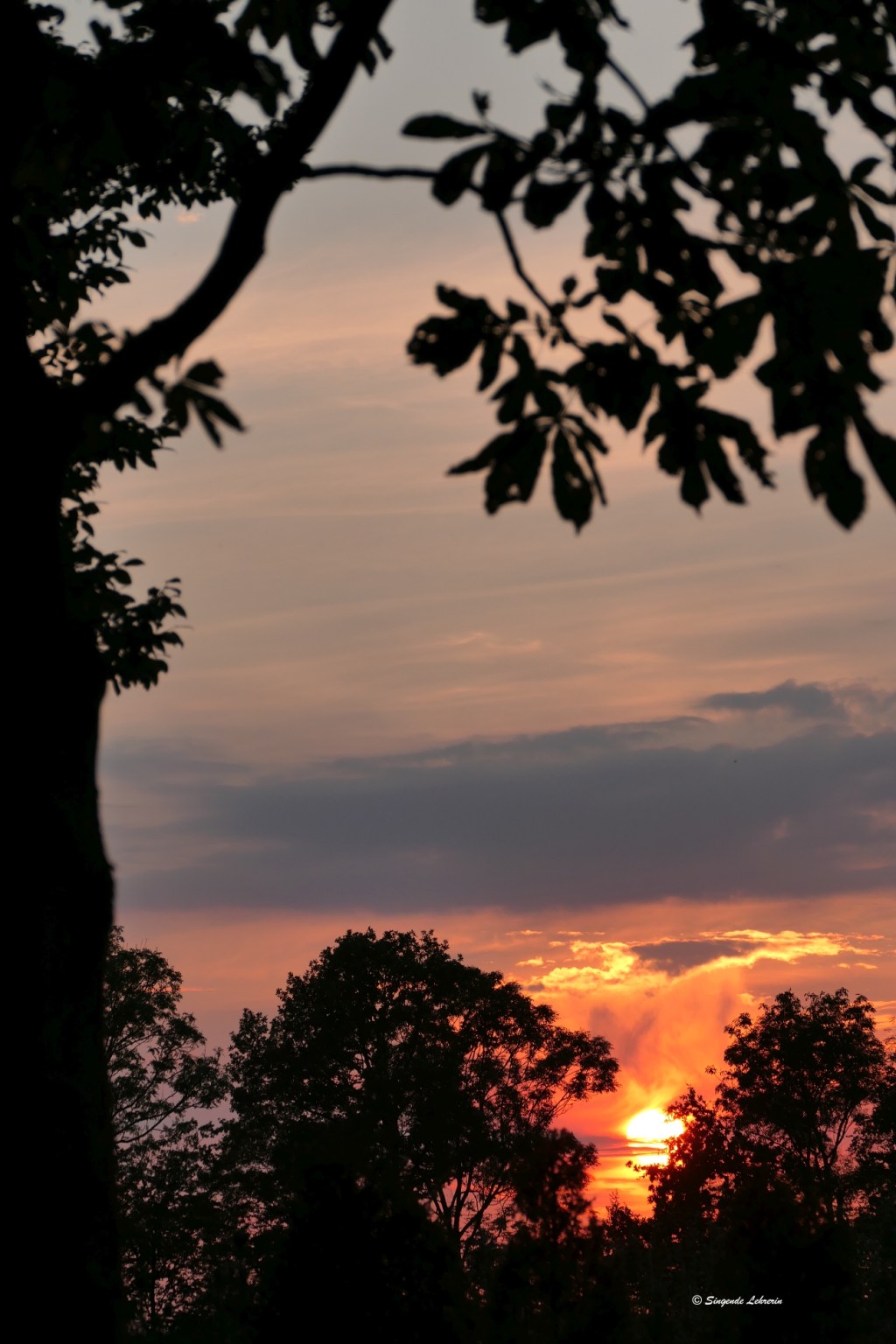 Fotografie: Himmel #38