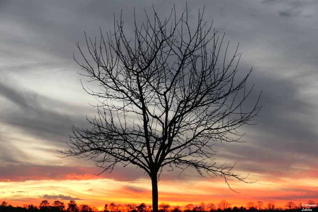 Fotografie: Himmel #48