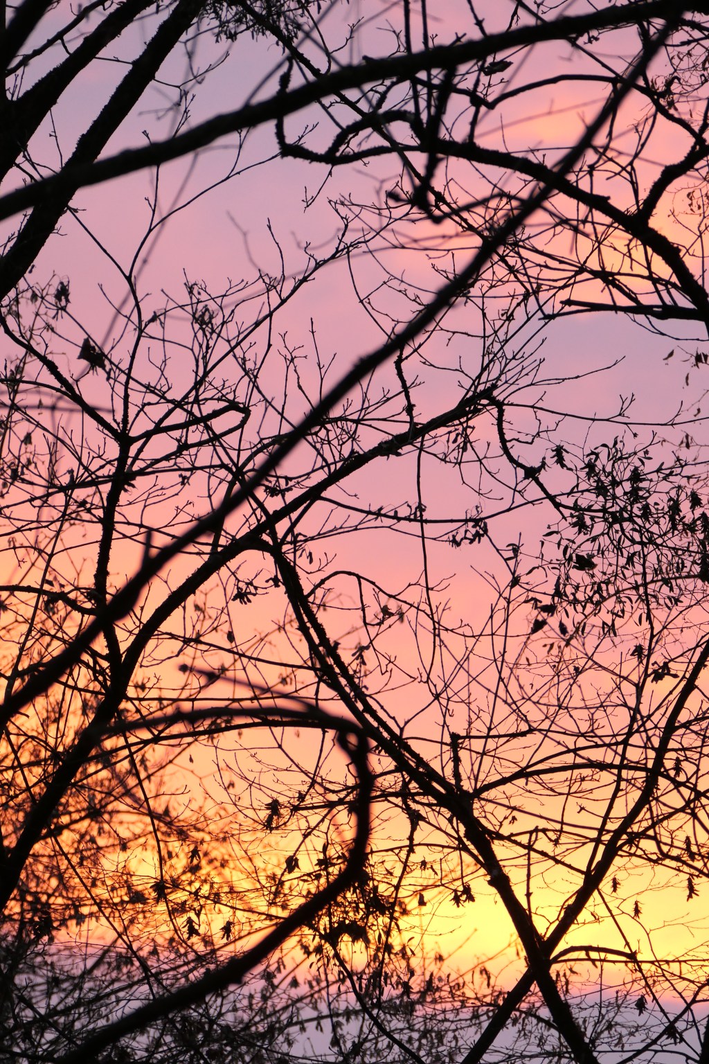 Fotografie: Himmel #46