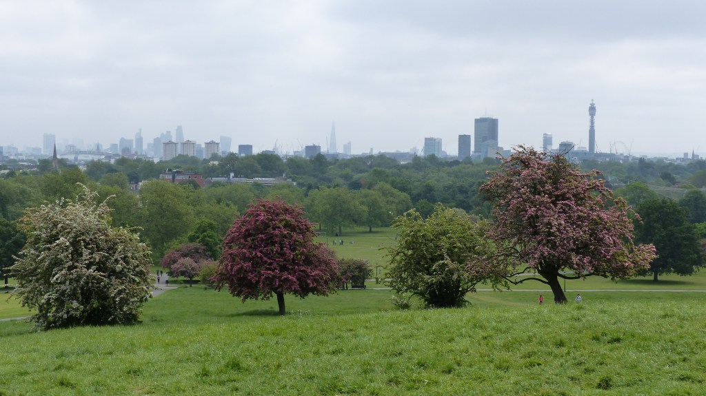 Fotografie: Lieblingsorte #15