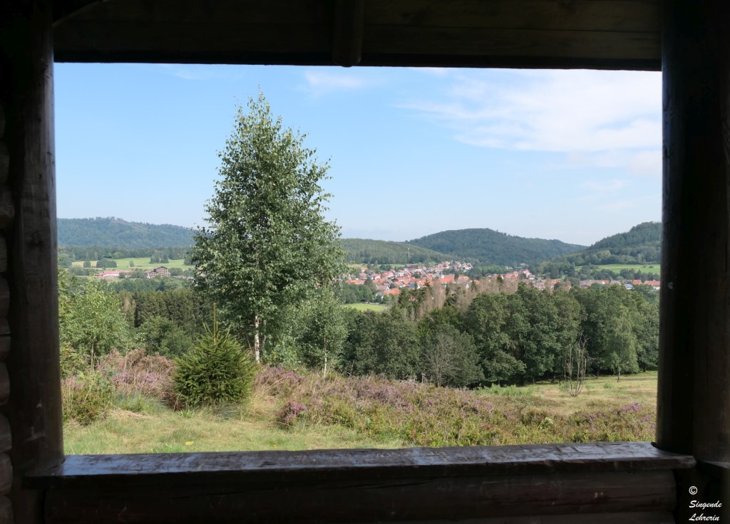 Mit dem Fotoapparat unterwegs im Harz #1 (Altarklippen-Wanderung)