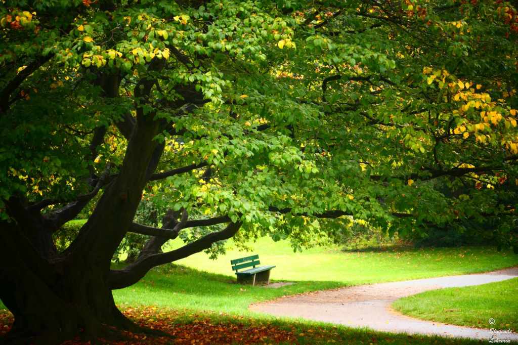 Fotografie: Lieblingsorte #50