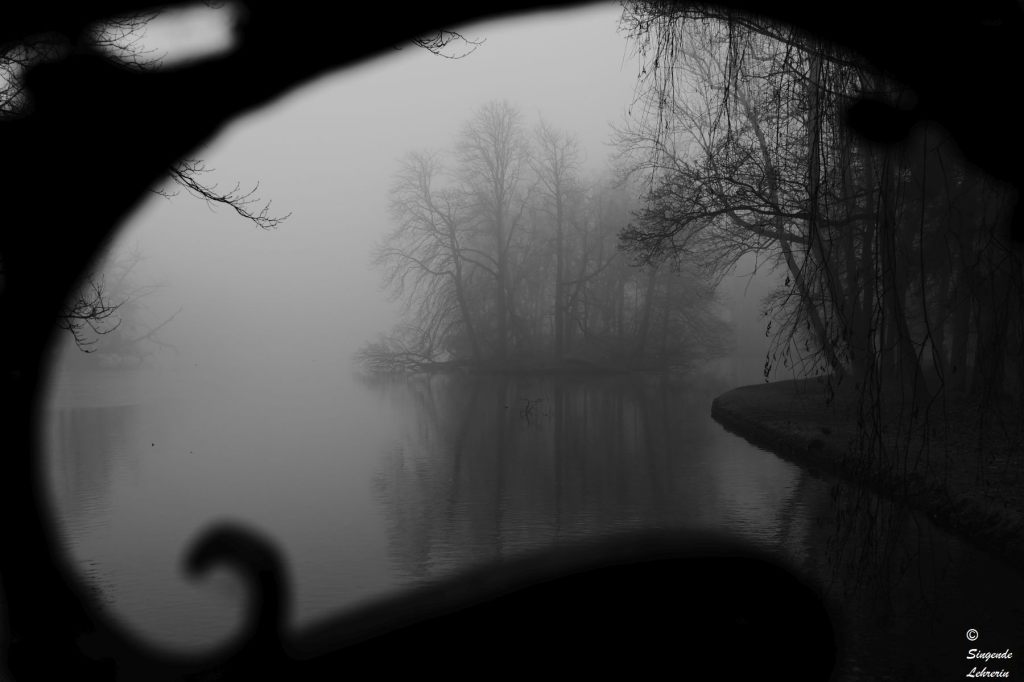Fotografie: Lieblingsmotive #3&nbsp;(Nebel)