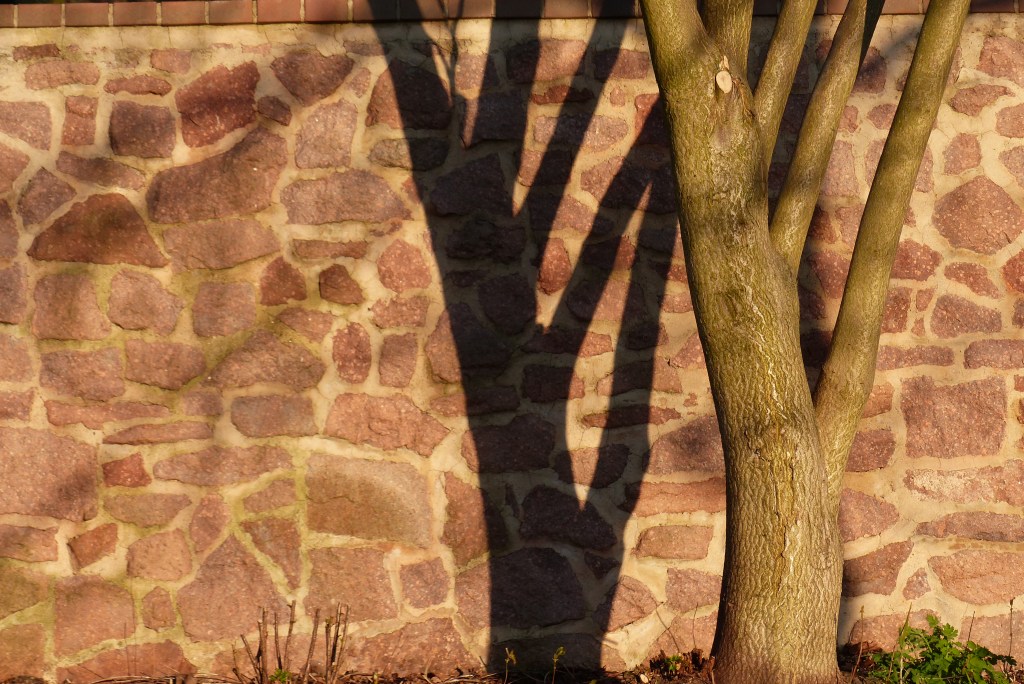 Fotografie: Lieblingsmotive #25&nbsp;(Schatten)