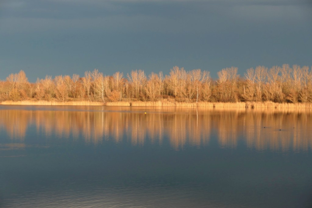 Fotografie: Best of 2022 #5a: Spiegelungen&nbsp;#1