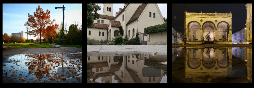 365 Tage #APuddleADay auf&nbsp;Pixelfed