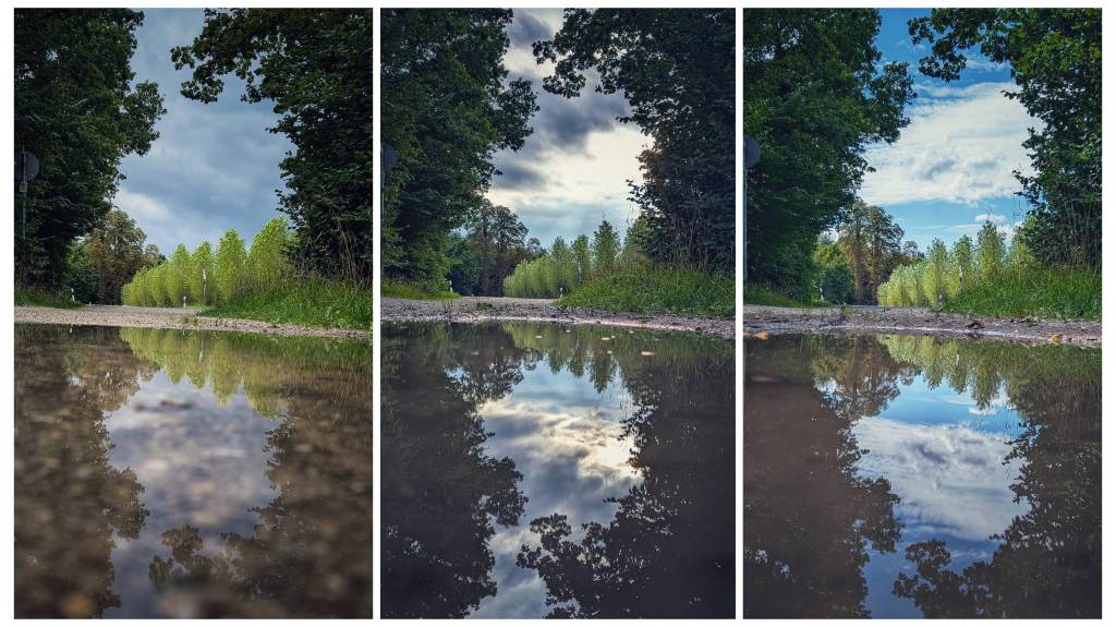 Sabbatical: A Puddle A Day&nbsp;#5