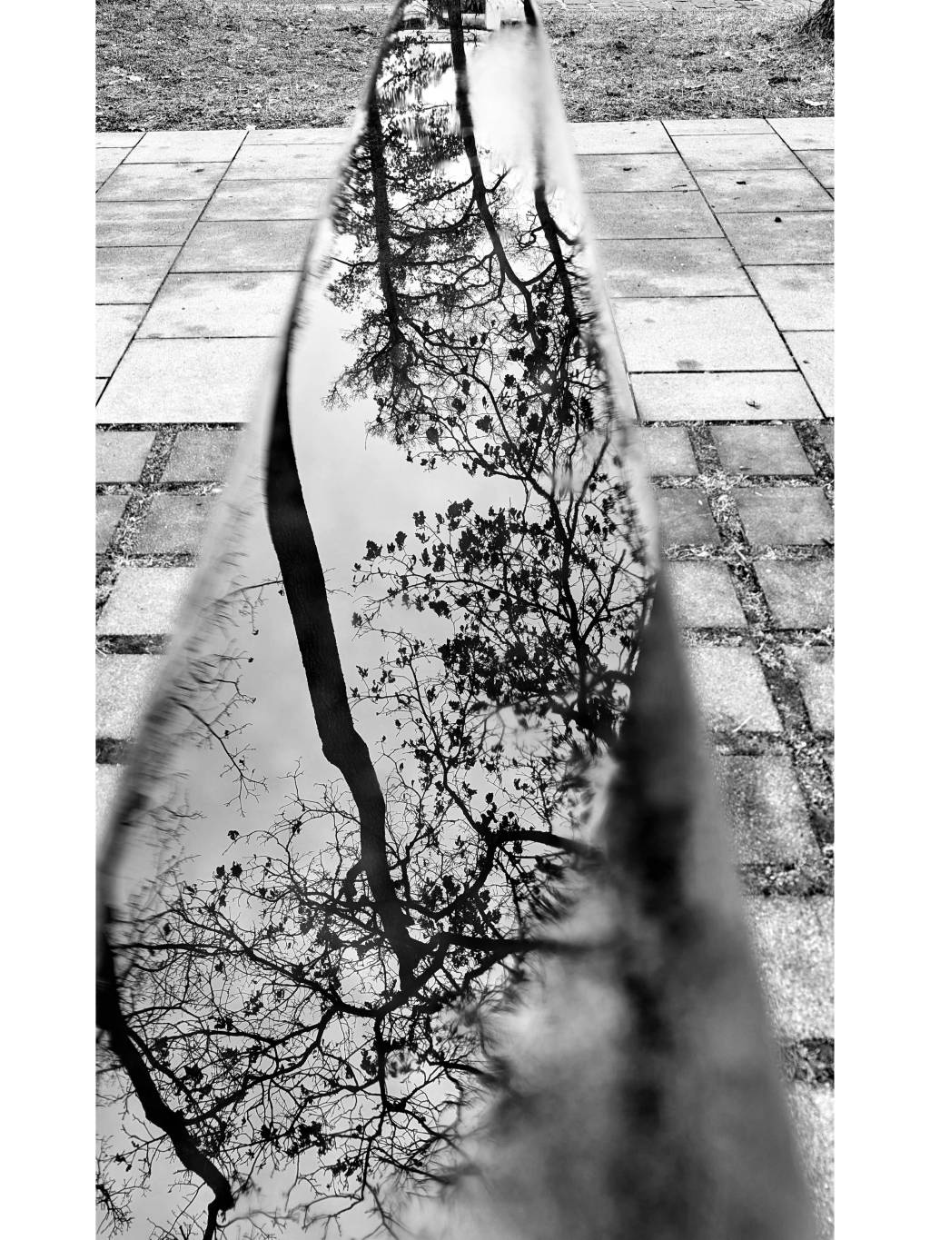 Sabbatical: A Puddle A Day&nbsp;#8