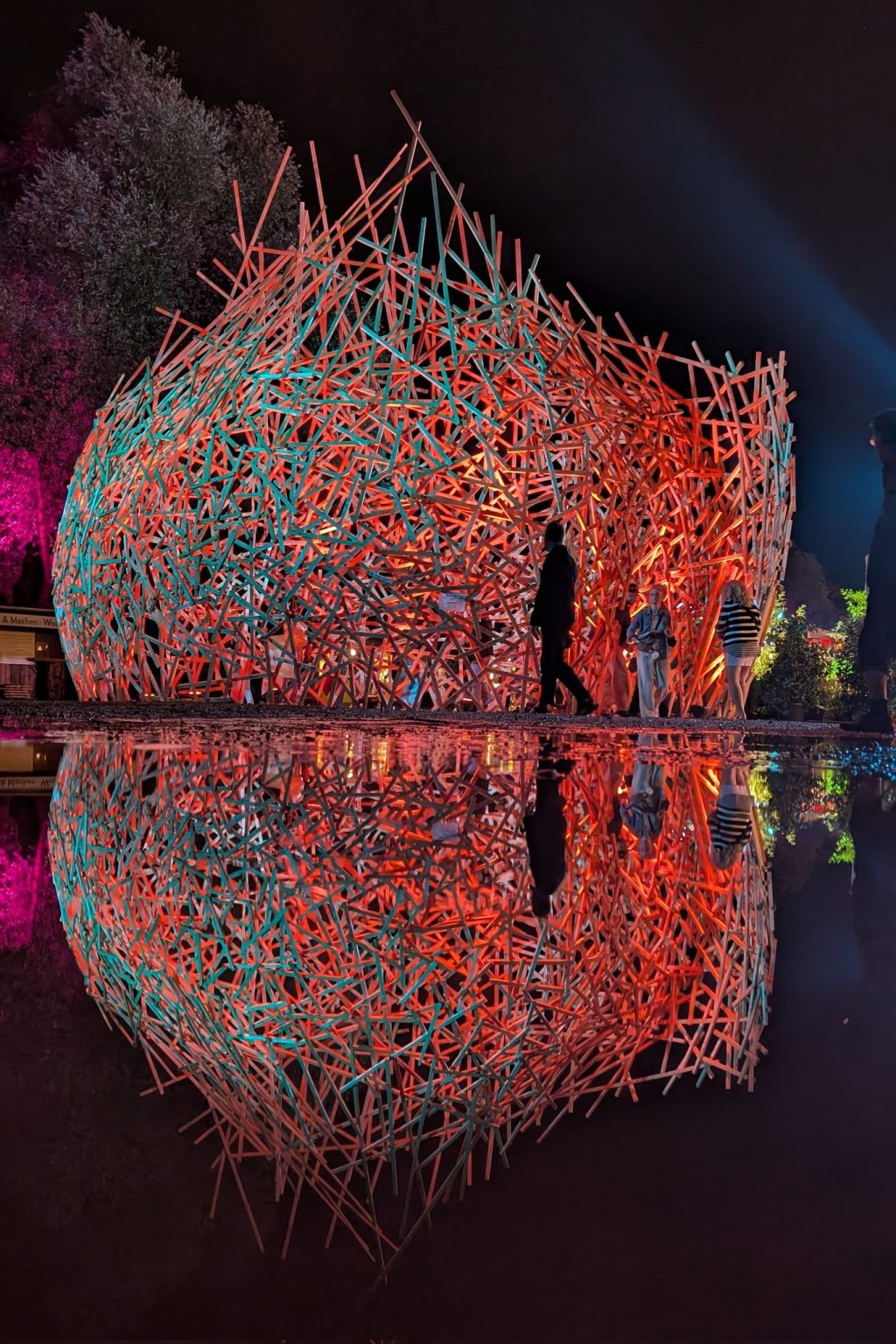 Sabbatical: A Puddle A Day&nbsp;#12