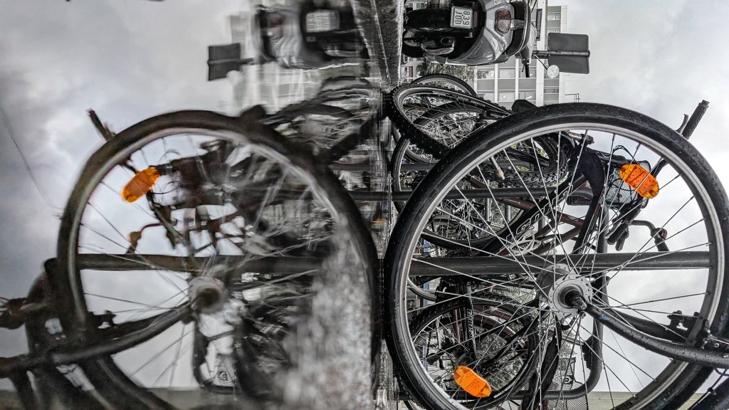 Sabbatical: A Puddle A Day #19