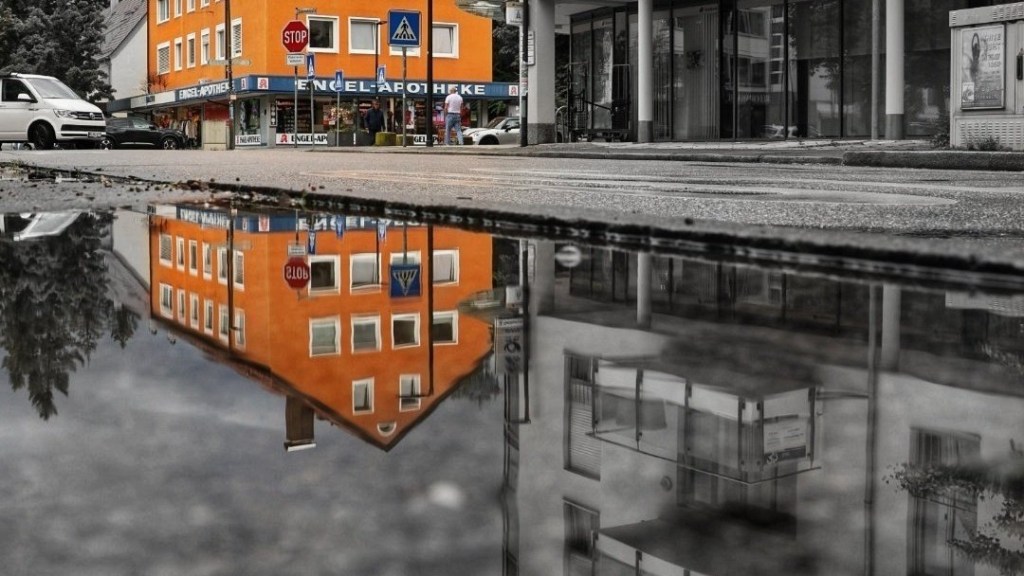 Sabbatical: A Puddle A Day&nbsp;#15