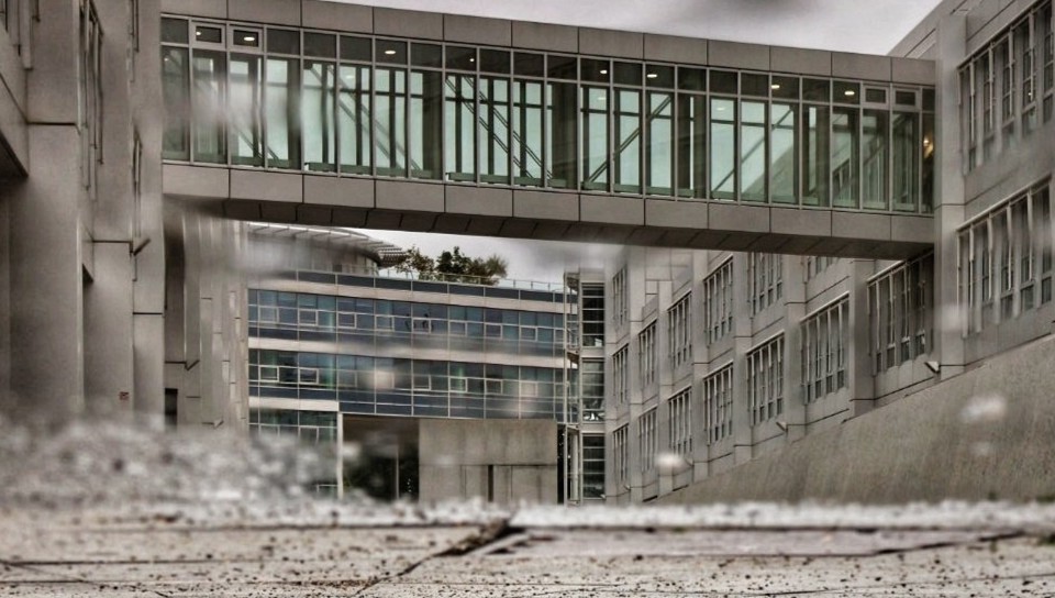 Sabbatical: A Puddle A Day #22