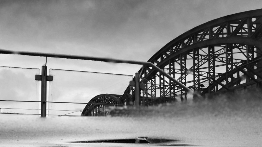 Sabbatical: A Puddle A Day&nbsp;#25