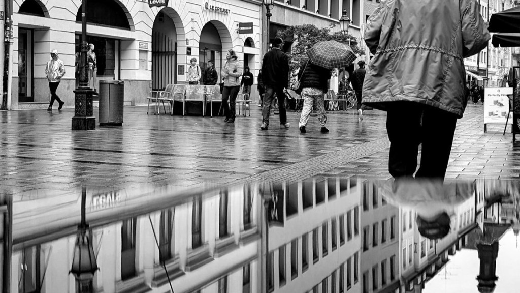 Sabbatical: A Puddle A Day #17