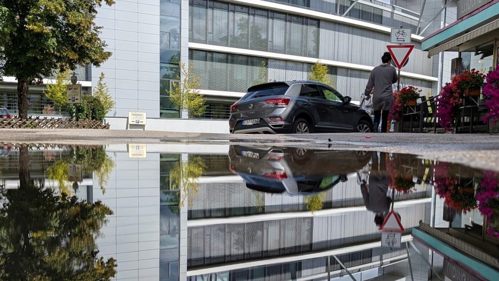 Sabbatical: A Puddle A Day&nbsp;#30