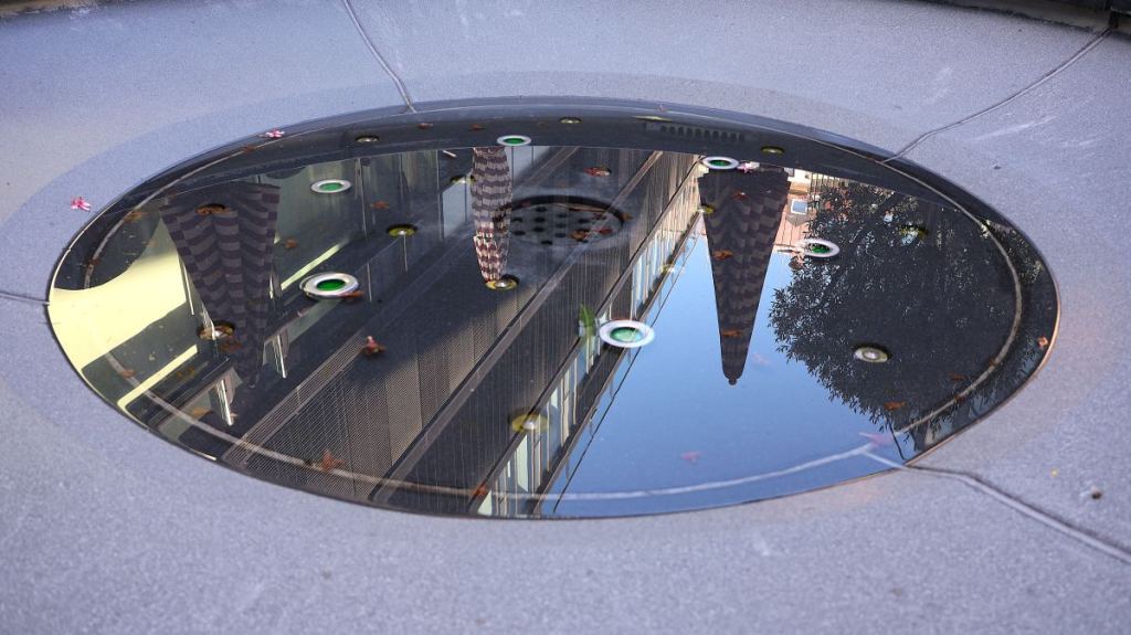 Sabbatical: A Puddle A Day&nbsp;#31