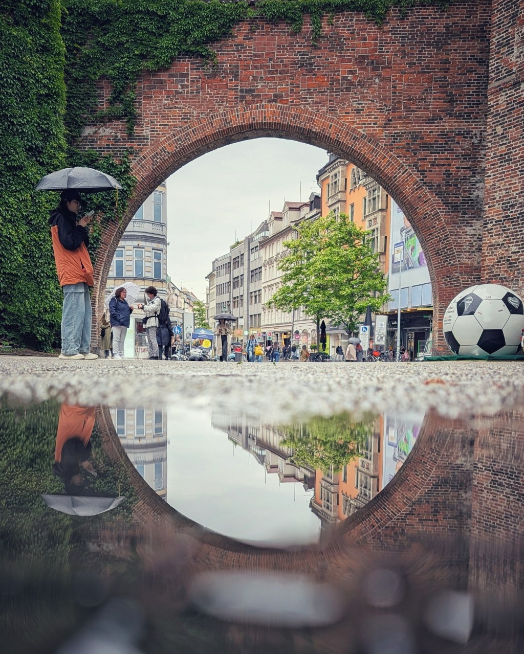 Sabbatical: A Puddle A Day&nbsp;#11