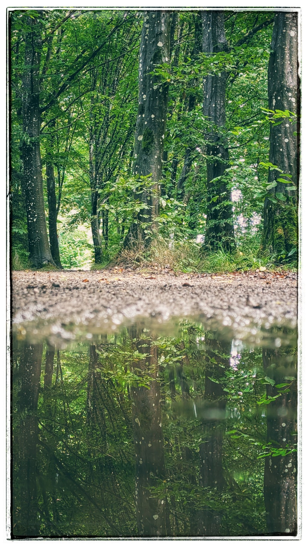 Sabbatical: A Puddle A Day&nbsp;#3