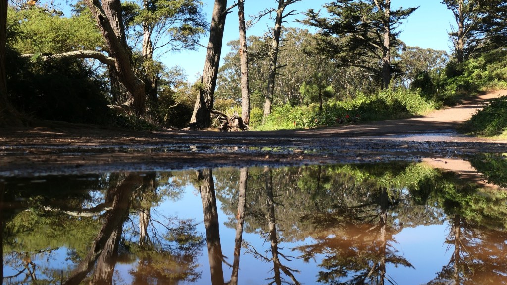 Sabbatical: A Puddle A Day&nbsp;#43