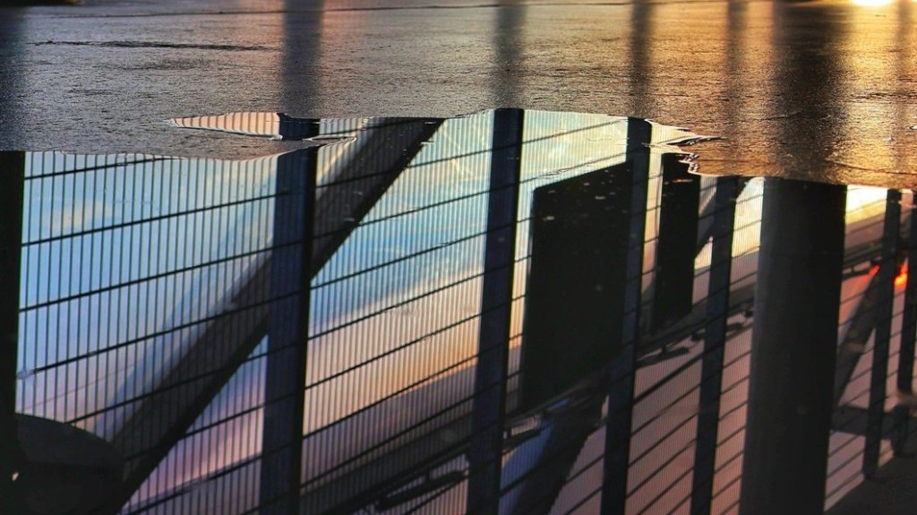 Sabbatical: A Puddle A Day&nbsp;#41