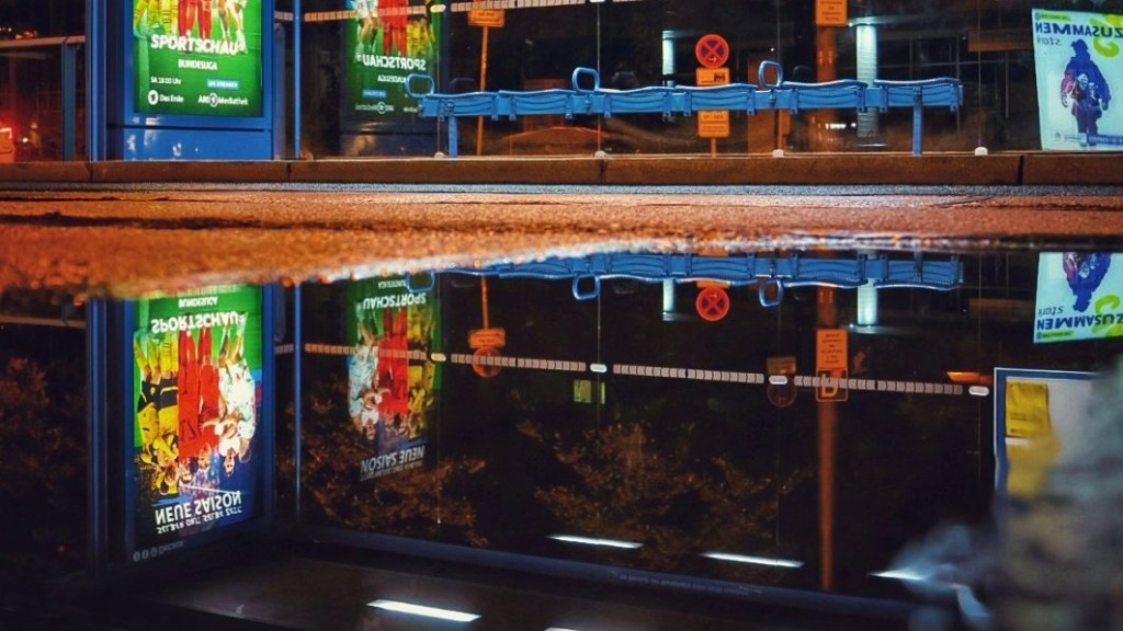 Sabbatical: A Puddle A Day&nbsp;#42