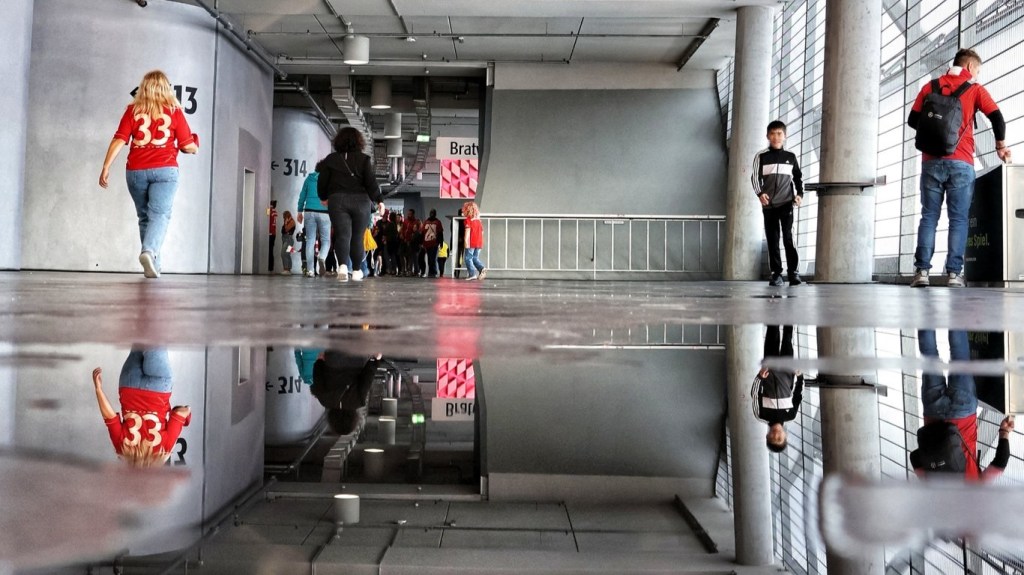 Sabbatical: A Puddle A Day&nbsp;#38