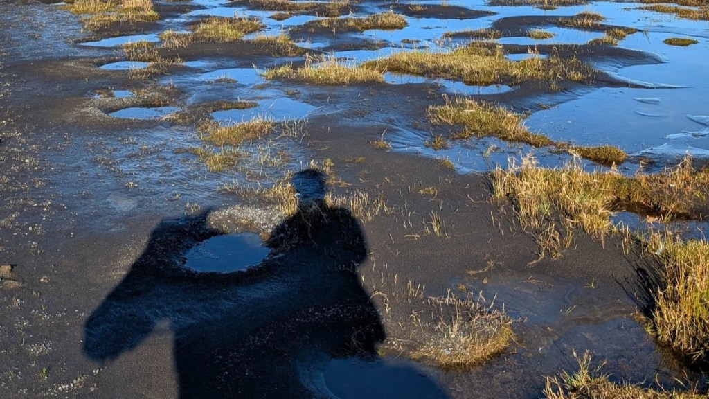 Sabbatical: A Picture A Day from Iceland&nbsp;#9