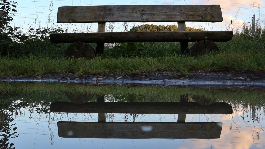 Sabbatical: A Puddle A Day&nbsp;#35