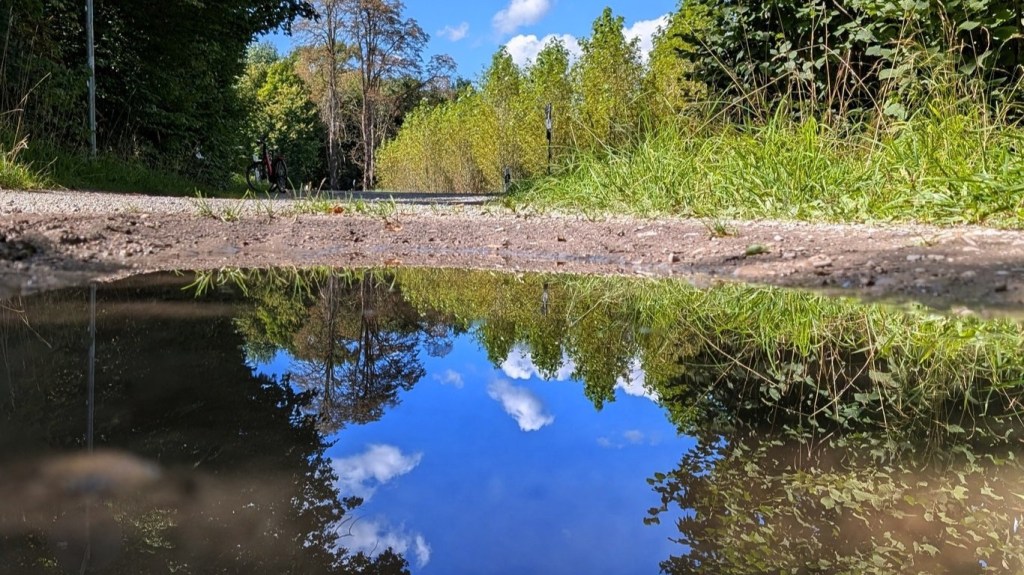 Sabbatical: A Puddle A Day&nbsp;#32