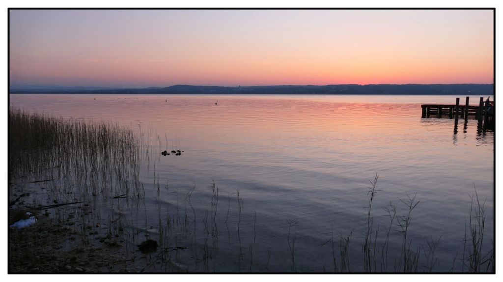 Das Jahr 2025 in Bildern #2 (Best of&nbsp;Twitter)