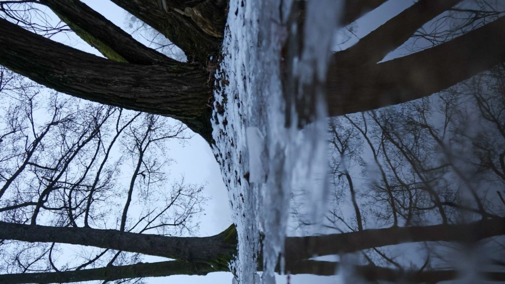 Sabbatical: A Puddle A Day&nbsp;#55