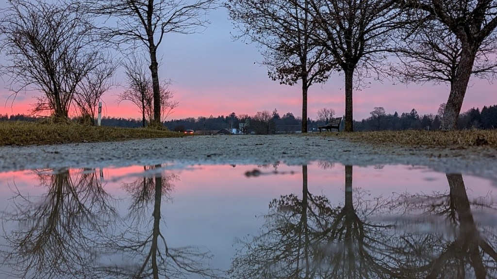 Sabbatical: A Puddle A Day&nbsp;#49