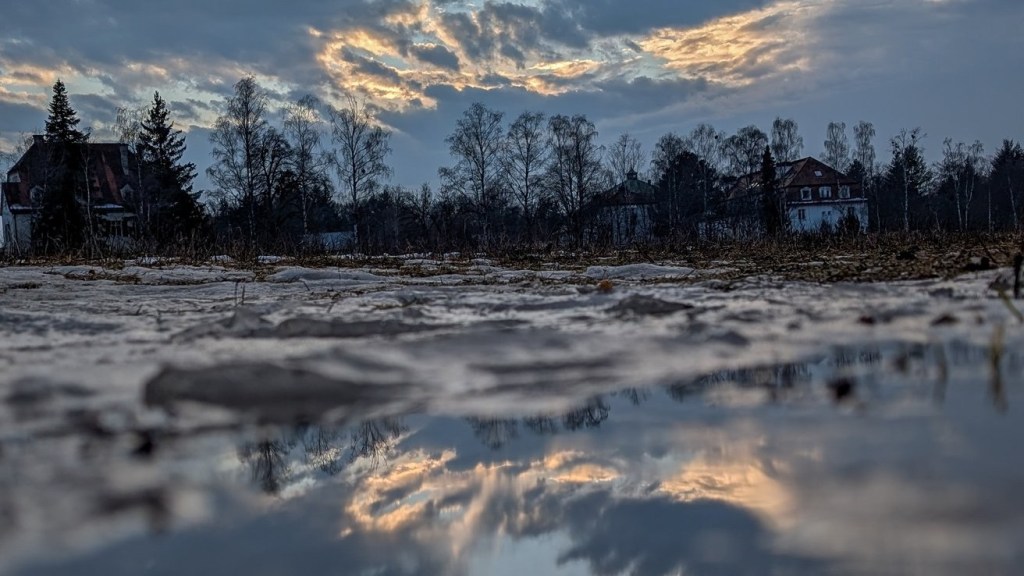 Sabbatical: A Puddle A Day&nbsp;#48