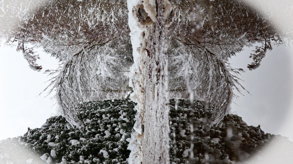 Sabbatical: A Puddle A Day&nbsp;#64