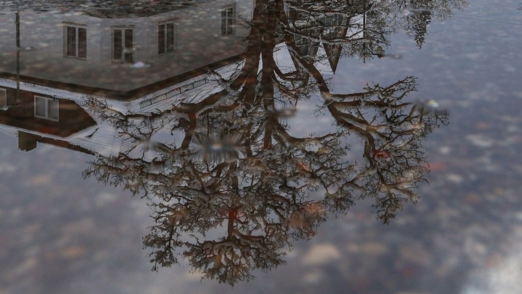 Sabbatical: A Puddle A Day #65