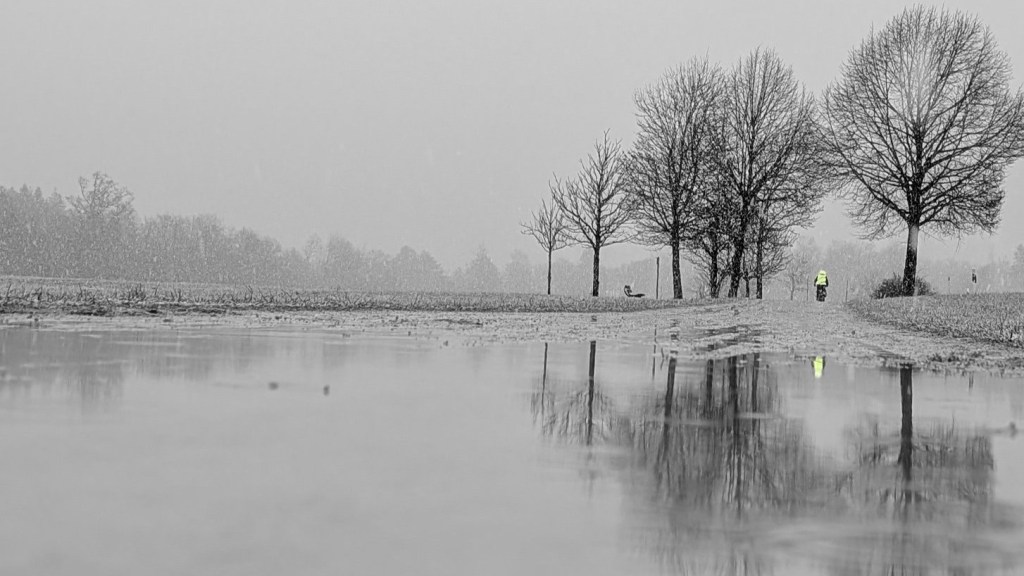 Sabbatical: A Puddle A Day&nbsp;#61