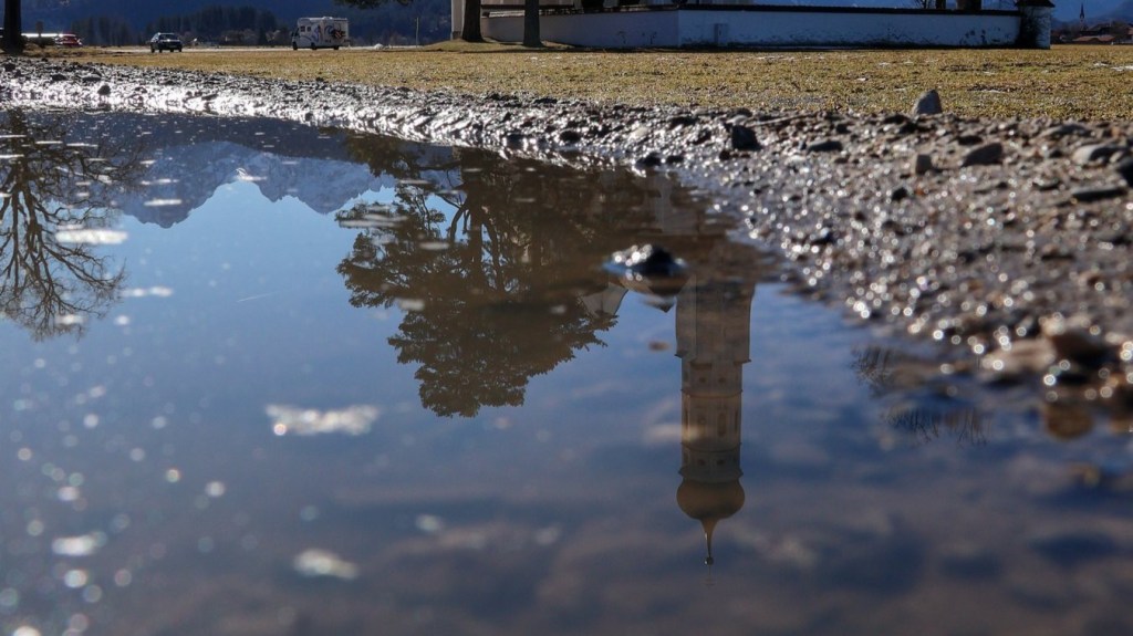 Sabbatical: A Puddle A Day&nbsp;#69